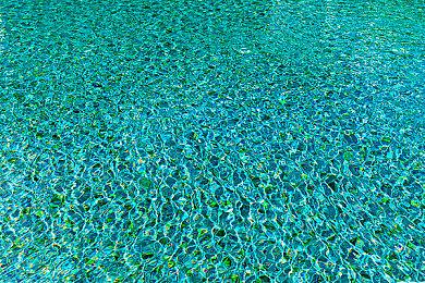 TGA2021新嘉宾公布 顽皮狗尼尔和小提娜声优Ashly